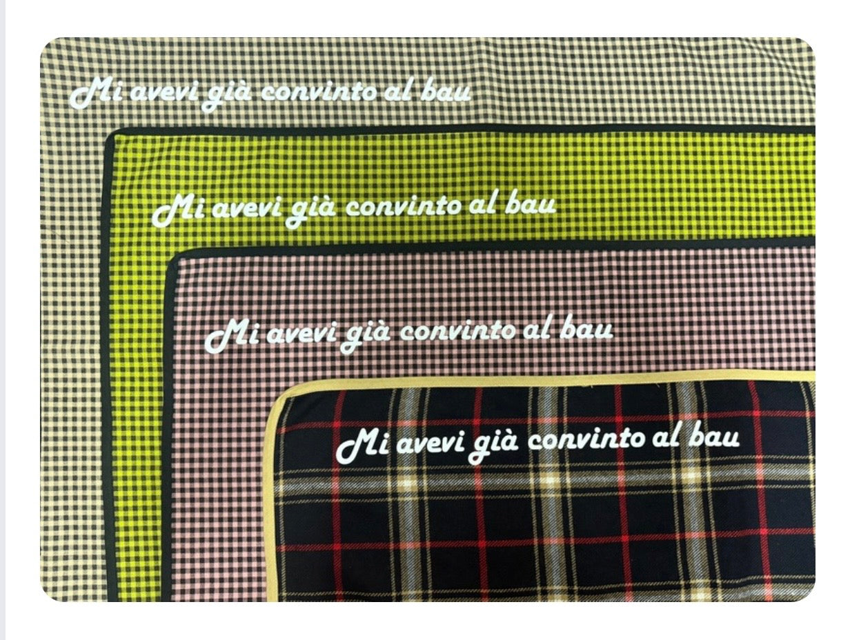 Coccole a Quadretti - Mi avevi già convinto al bau