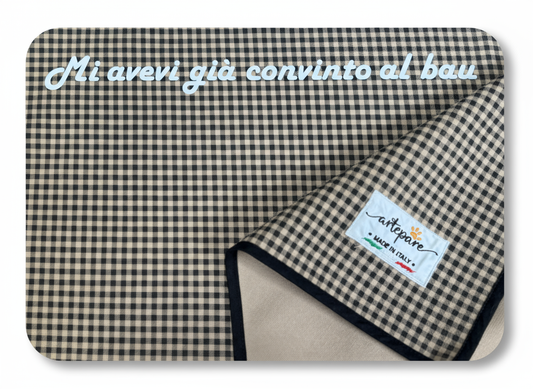 Immagine 2 migliorata