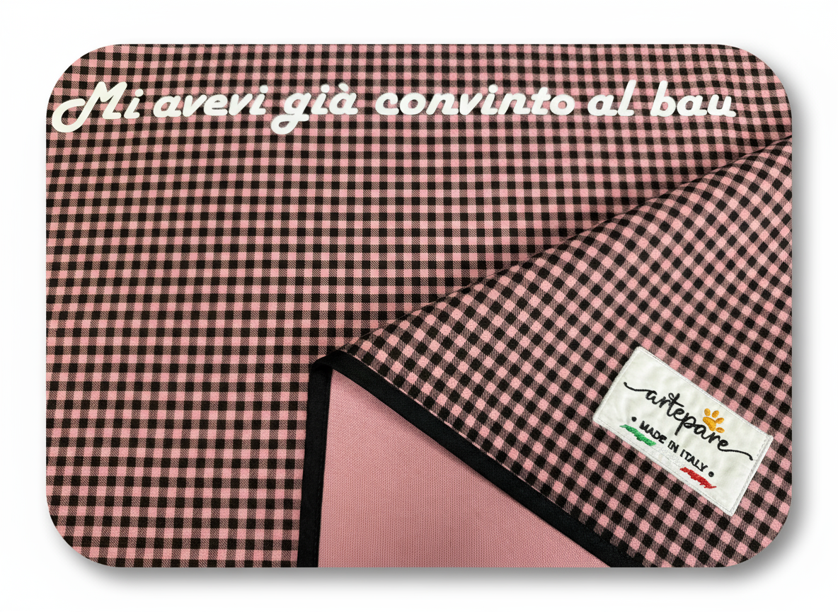 Immagine 4 migliorata