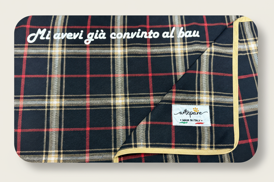 Immagine 5 migliorata